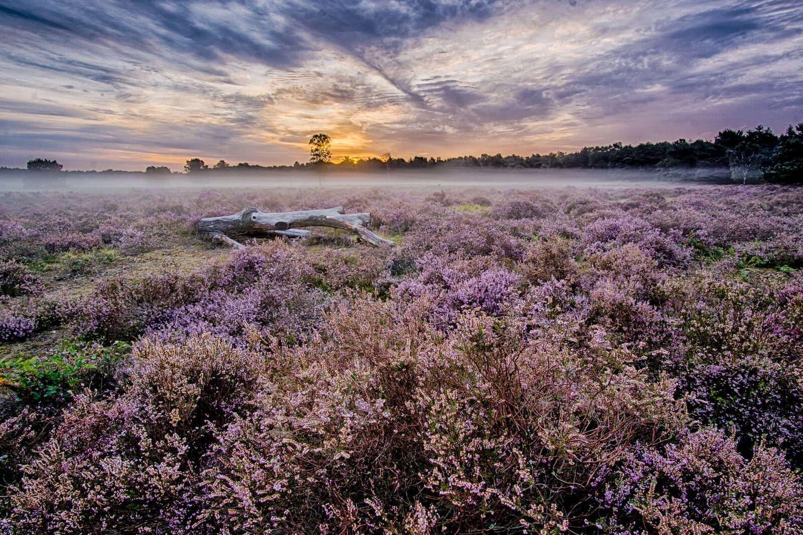 De Lemelerberg nature reserve