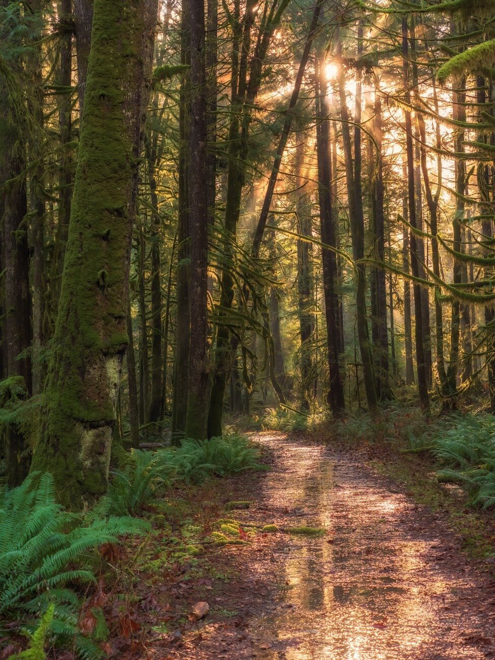 Natuurgebied De Borkeld