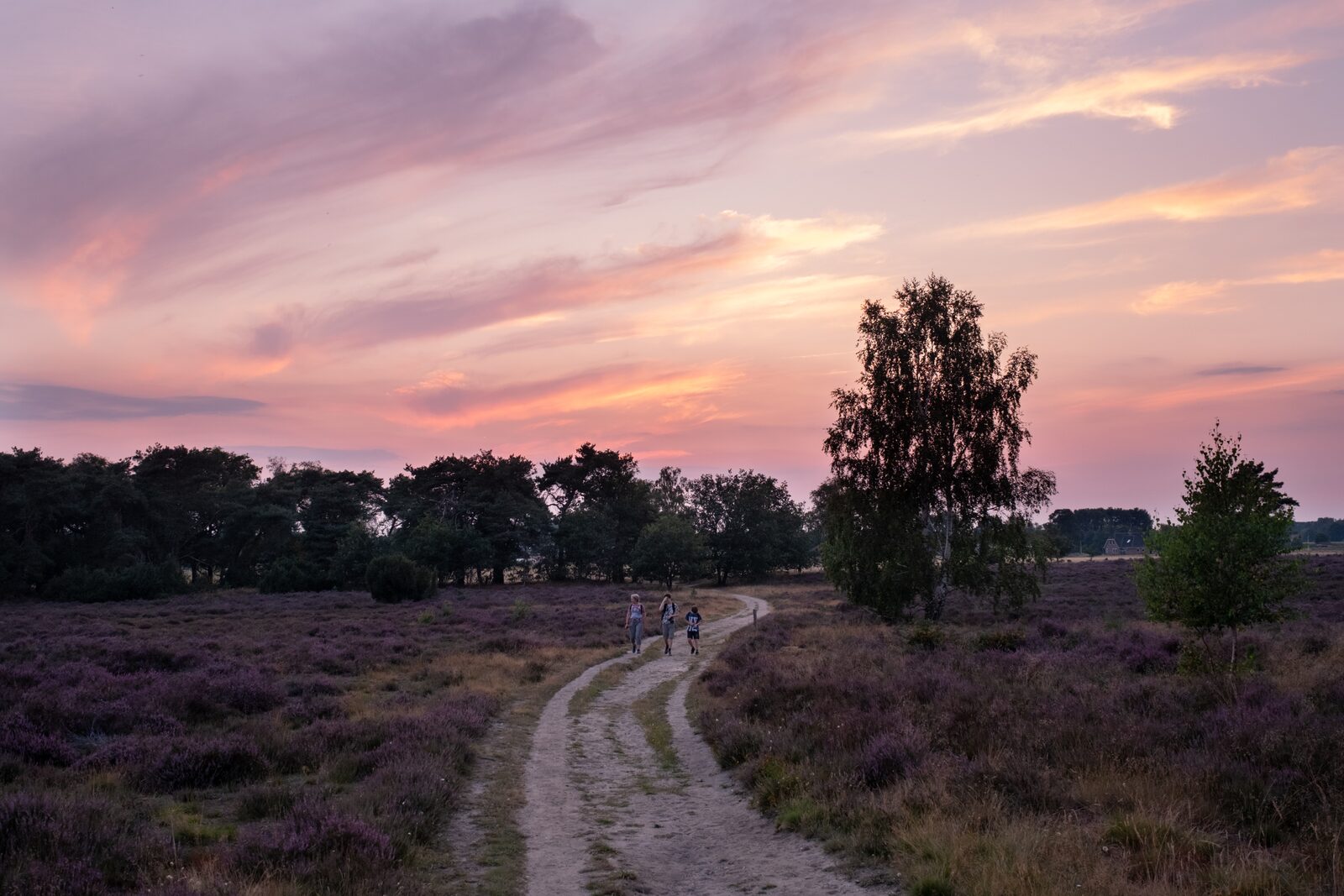 Natuurgebied De Sprengenberg 