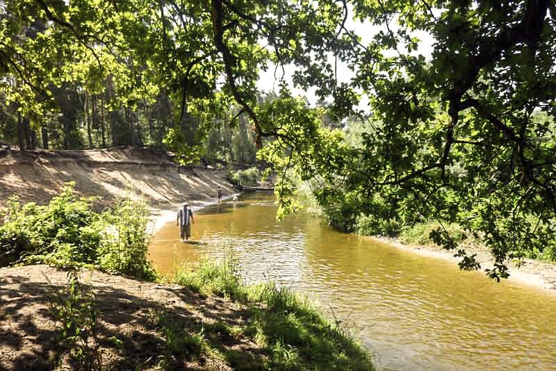 Nature reserve Het Lutterzand 