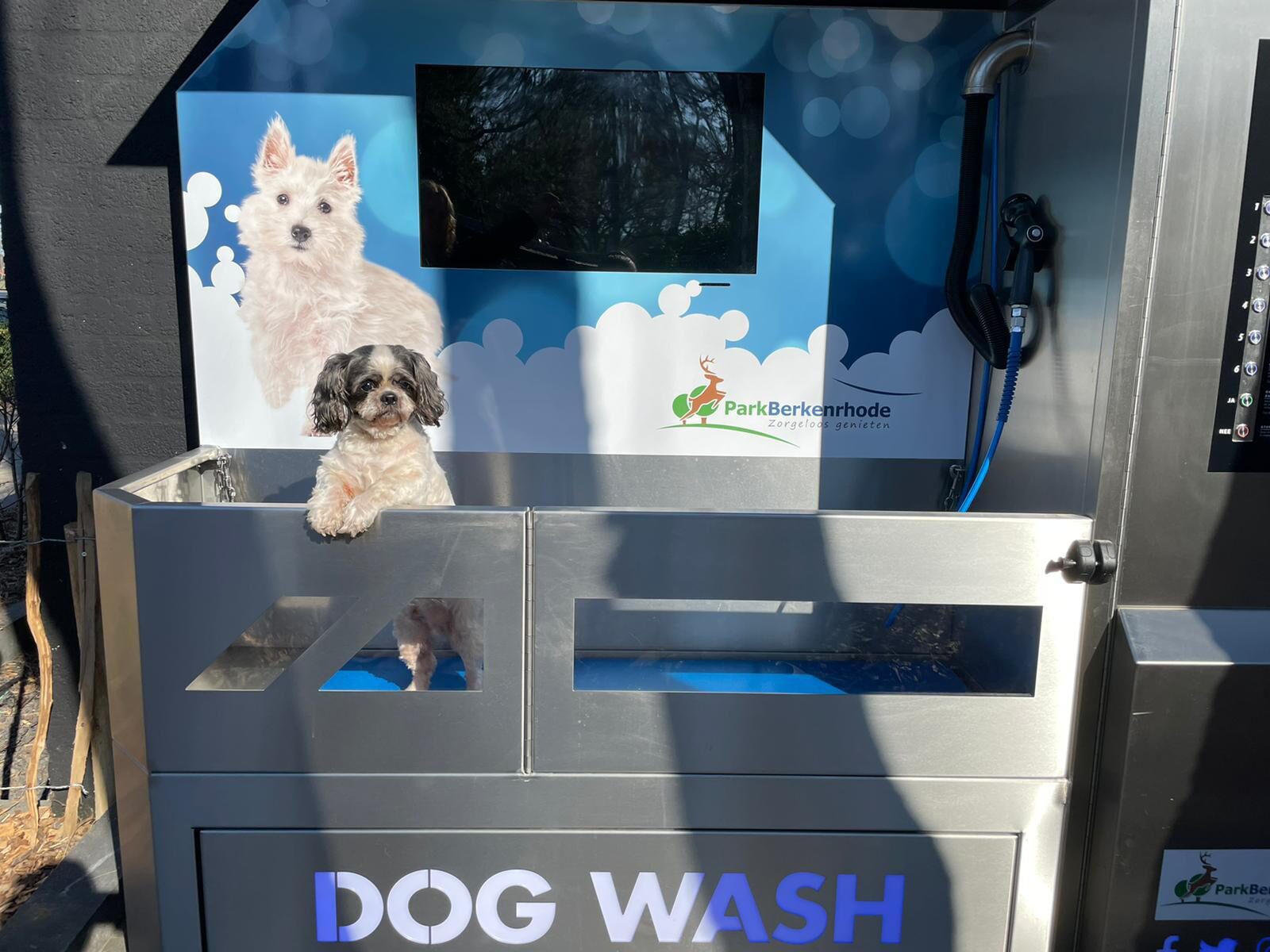 Dog wash