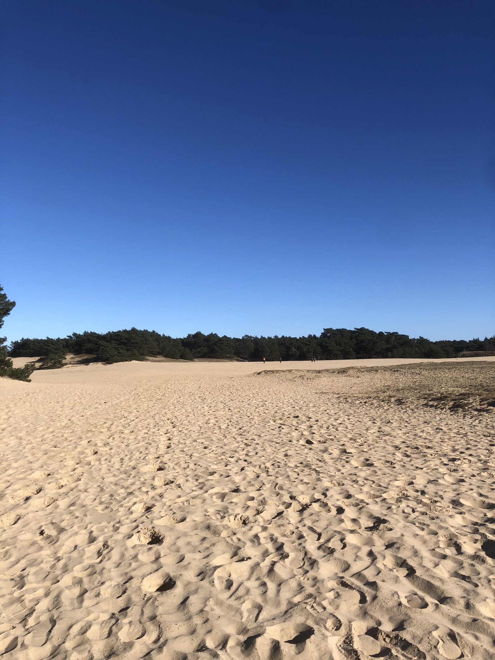 Tour of Wekerom Sand