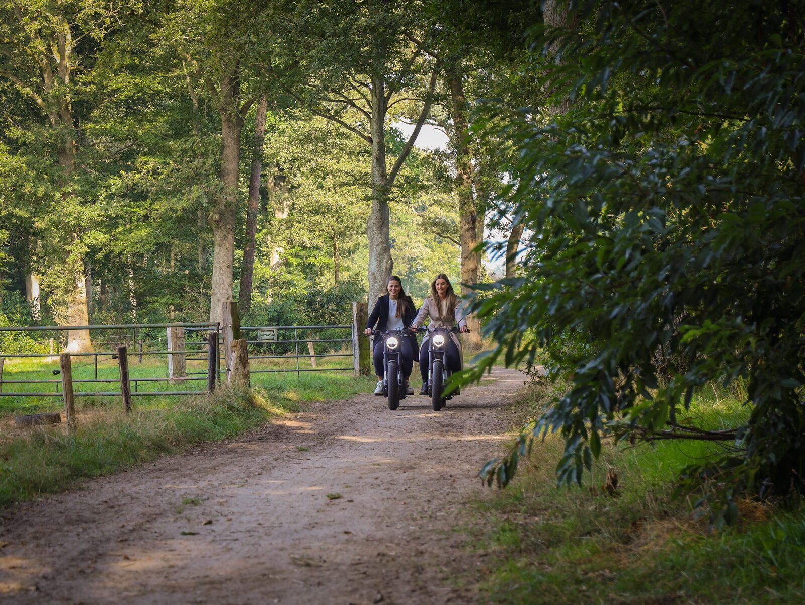 Het leukste uitje op de Veluwe!