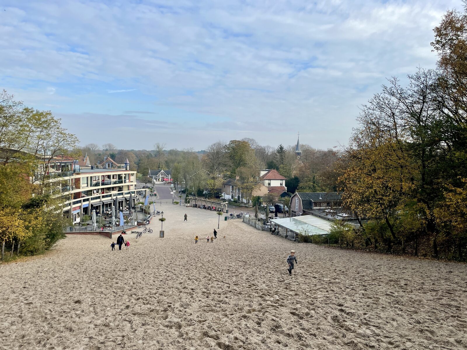 Climbing dune Schoorl