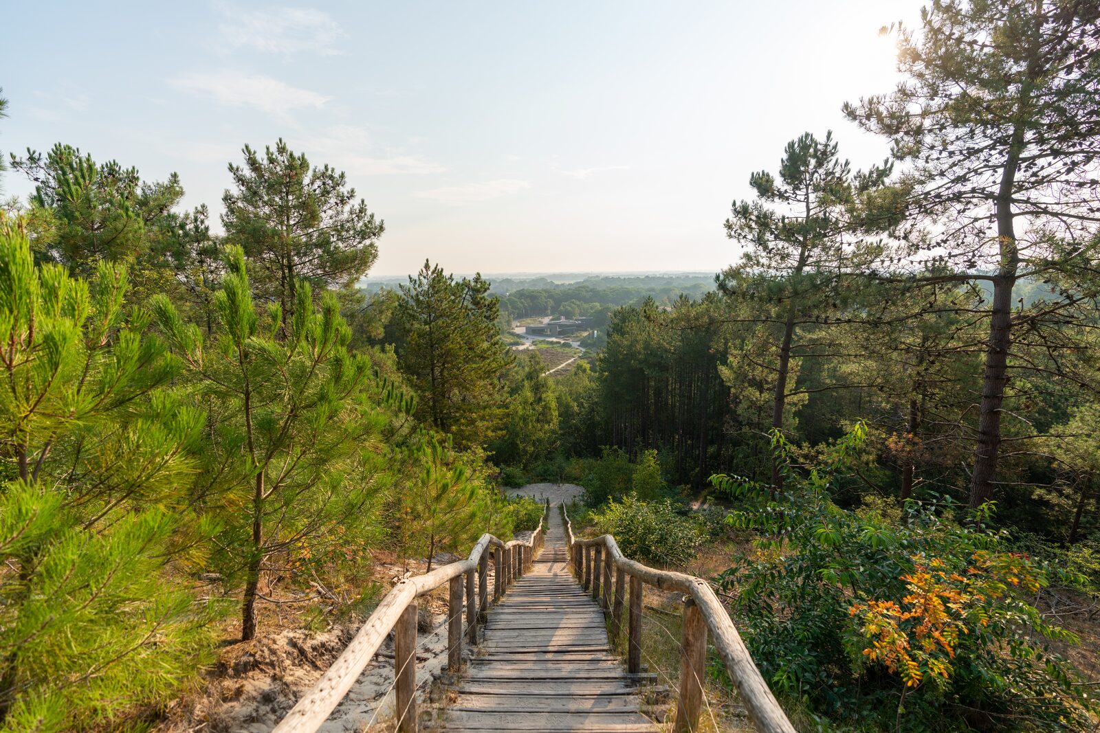 Nationaal Park de Schoorlse Duinen