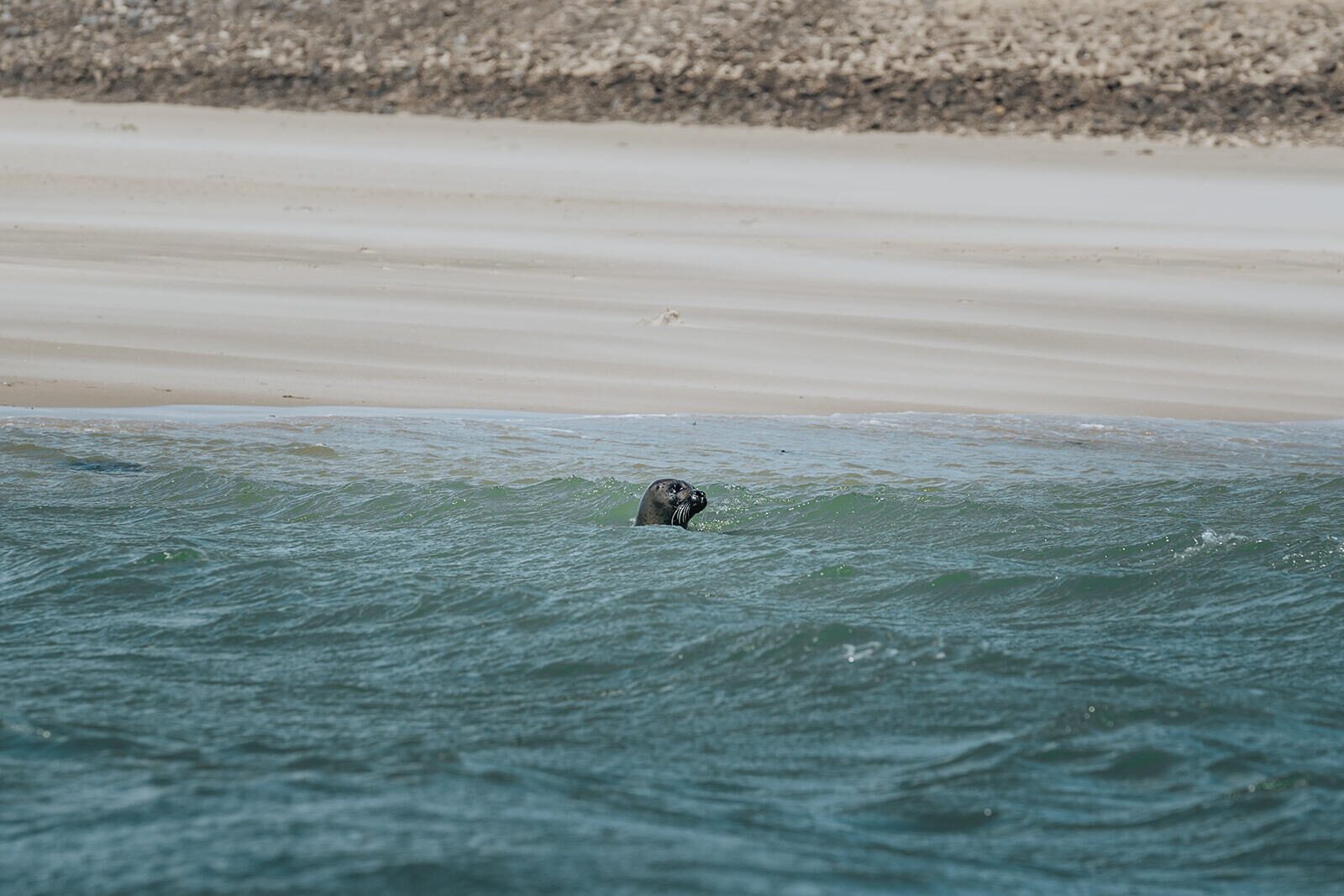 noordzee