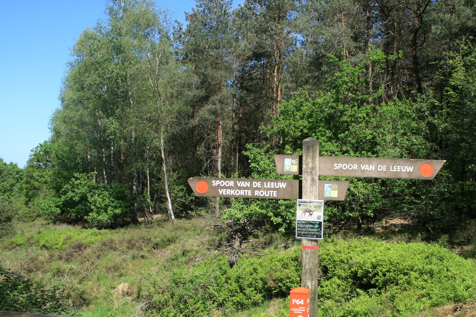 wandelarrangementen