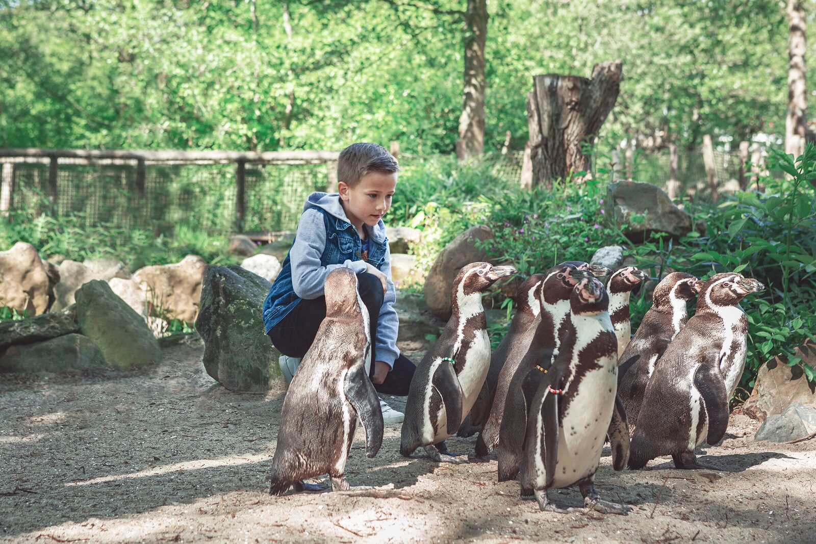 AquaZoo Leeuwarden