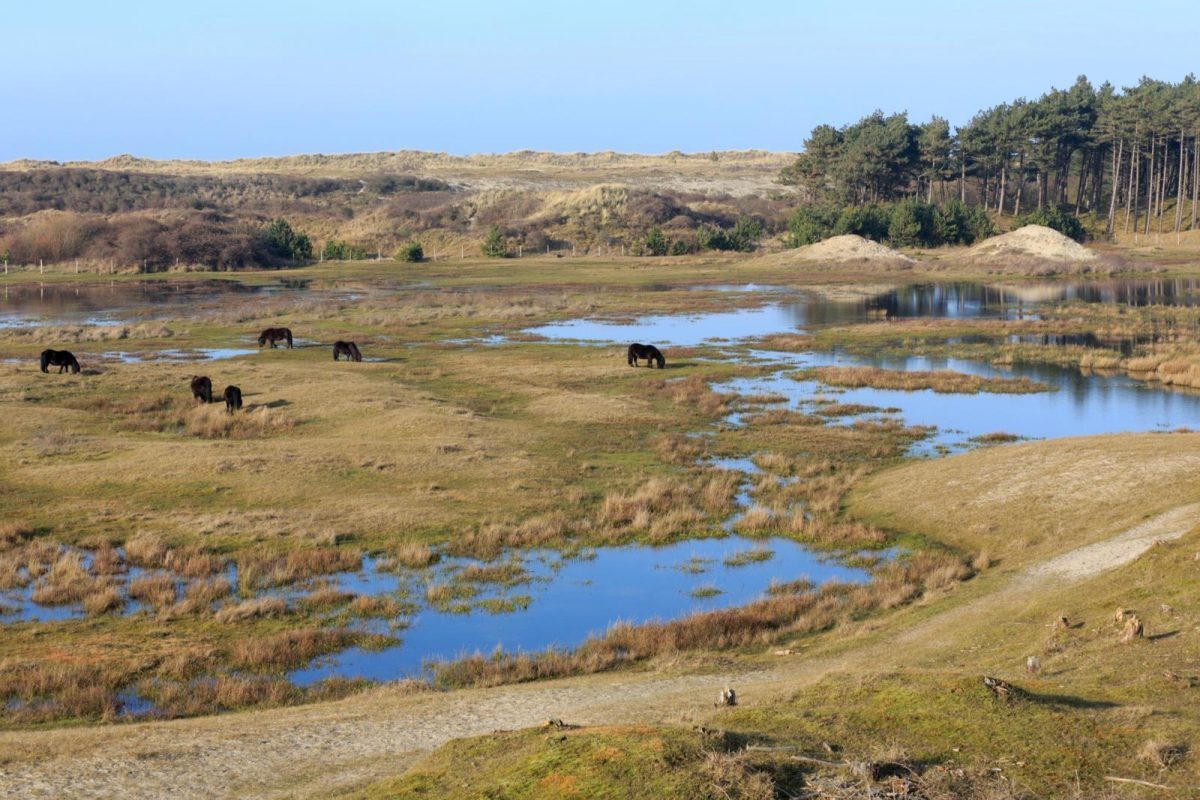 Walk hike holiday Zeeland nature 