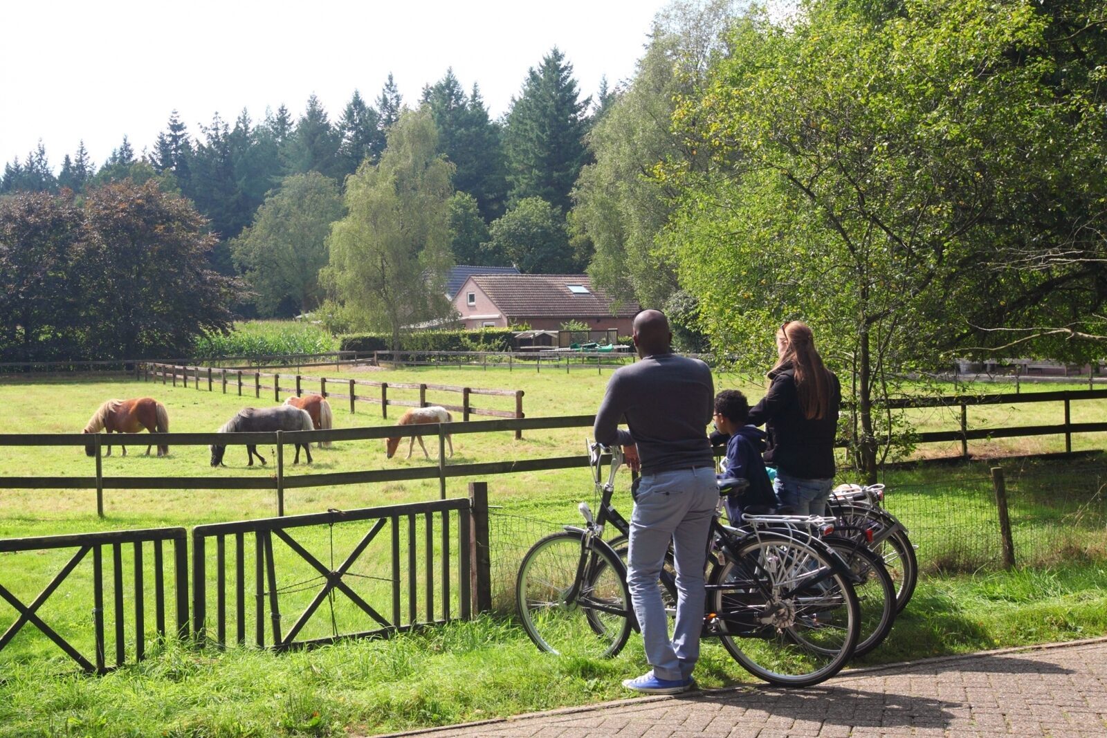 fietsroutes hellendoorn