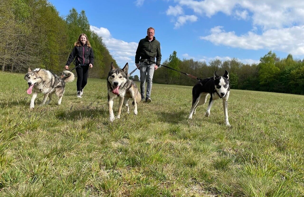 Cripple Creek Huskies