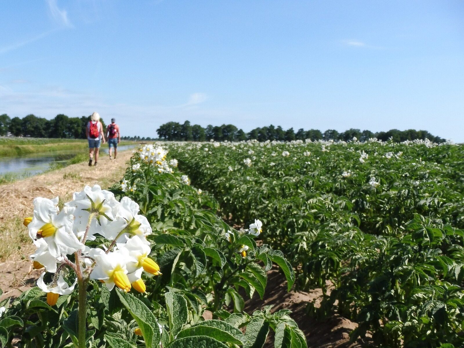 Wanderwege sallandse heuvelrug