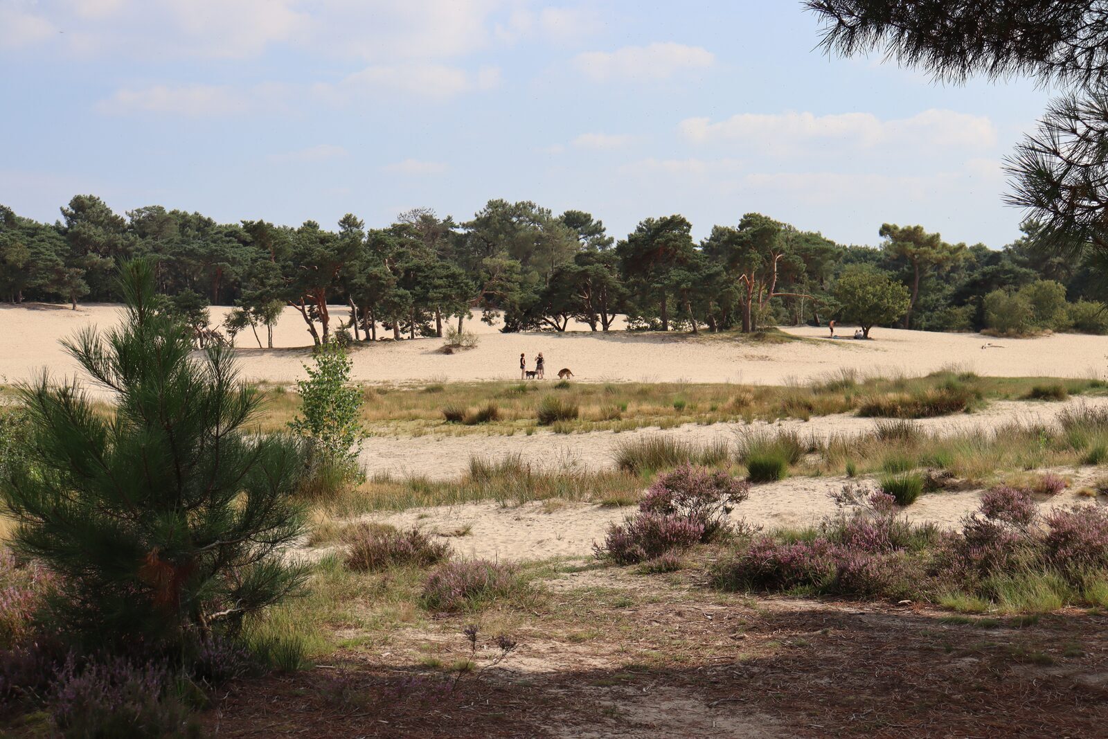 Nationaal Park Loonse en Drunense Duinen