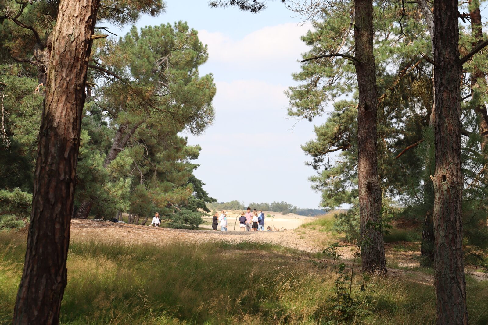 Arrangementen Recreatiepark Duinhoeve