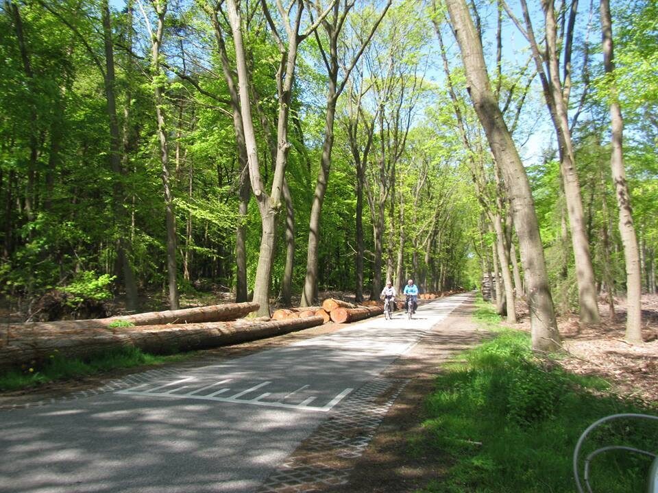 Natuurmuseum Holterberg