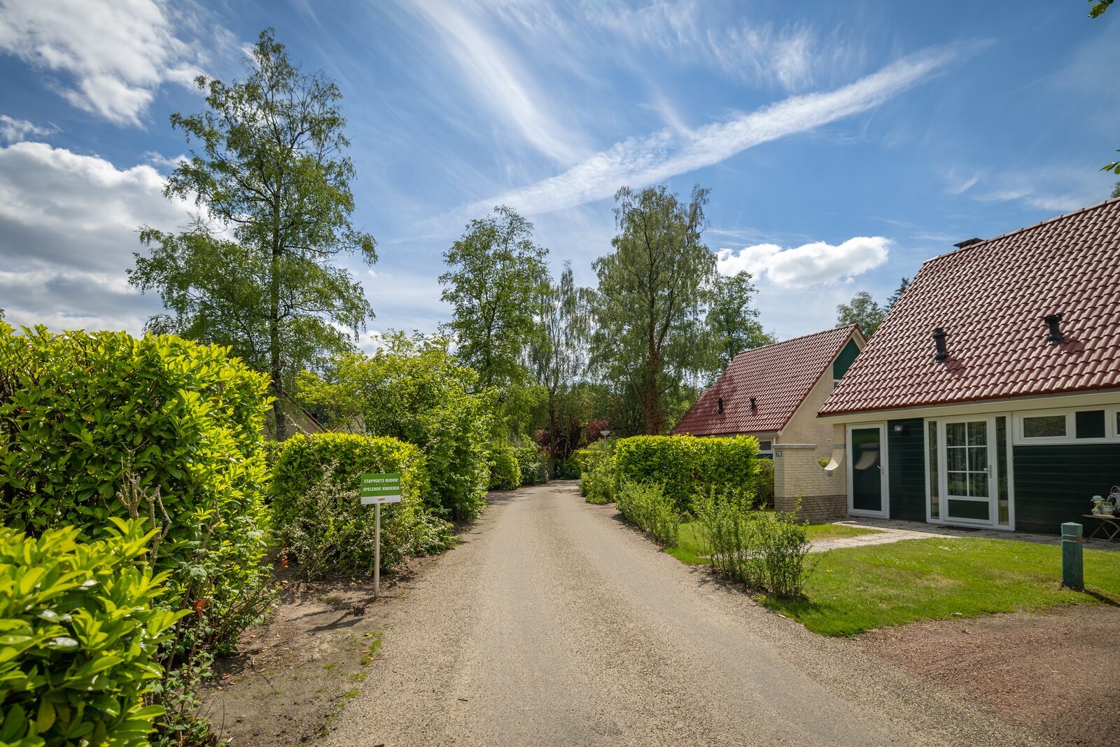 Holiday park in the forest