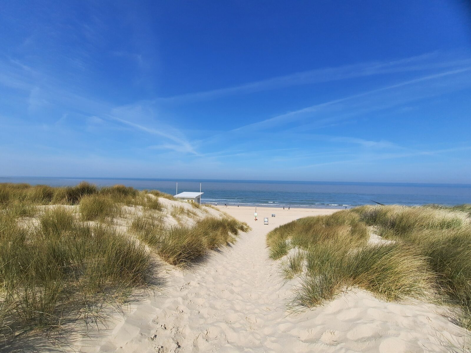 Camping Zonneweelde