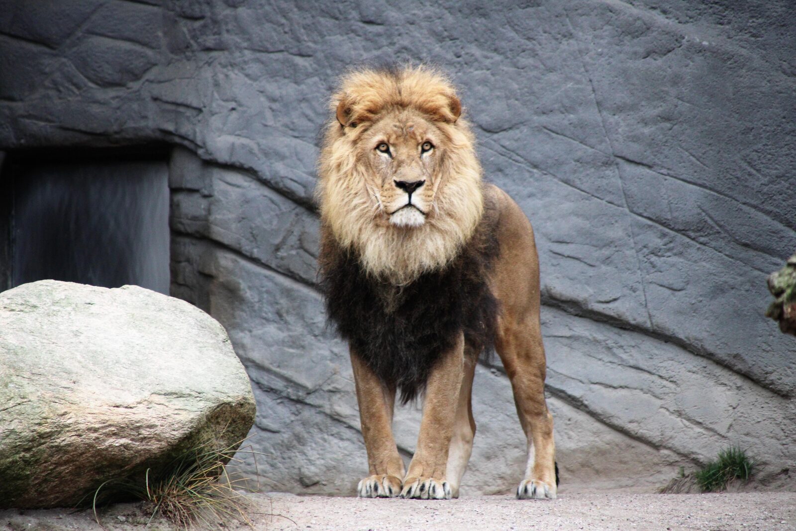 Wildlands zoo Emmen