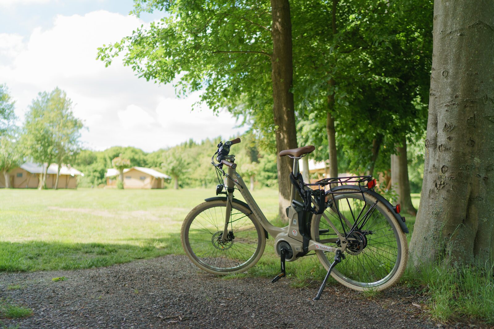 Bike rental