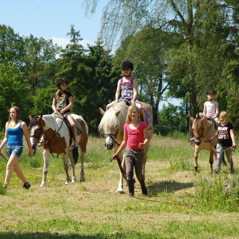 Pony rijden