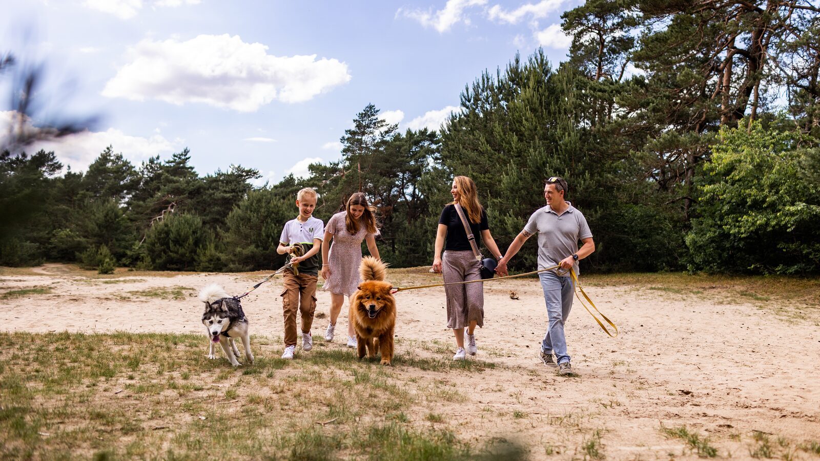 Holiday resort Veluwe with dog