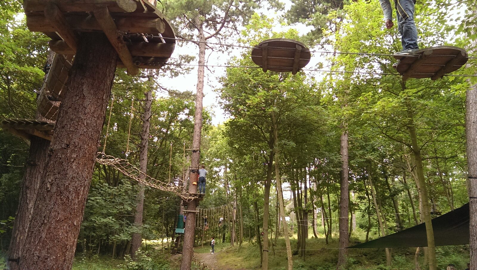 Climbing forest Zeeuwse Helden