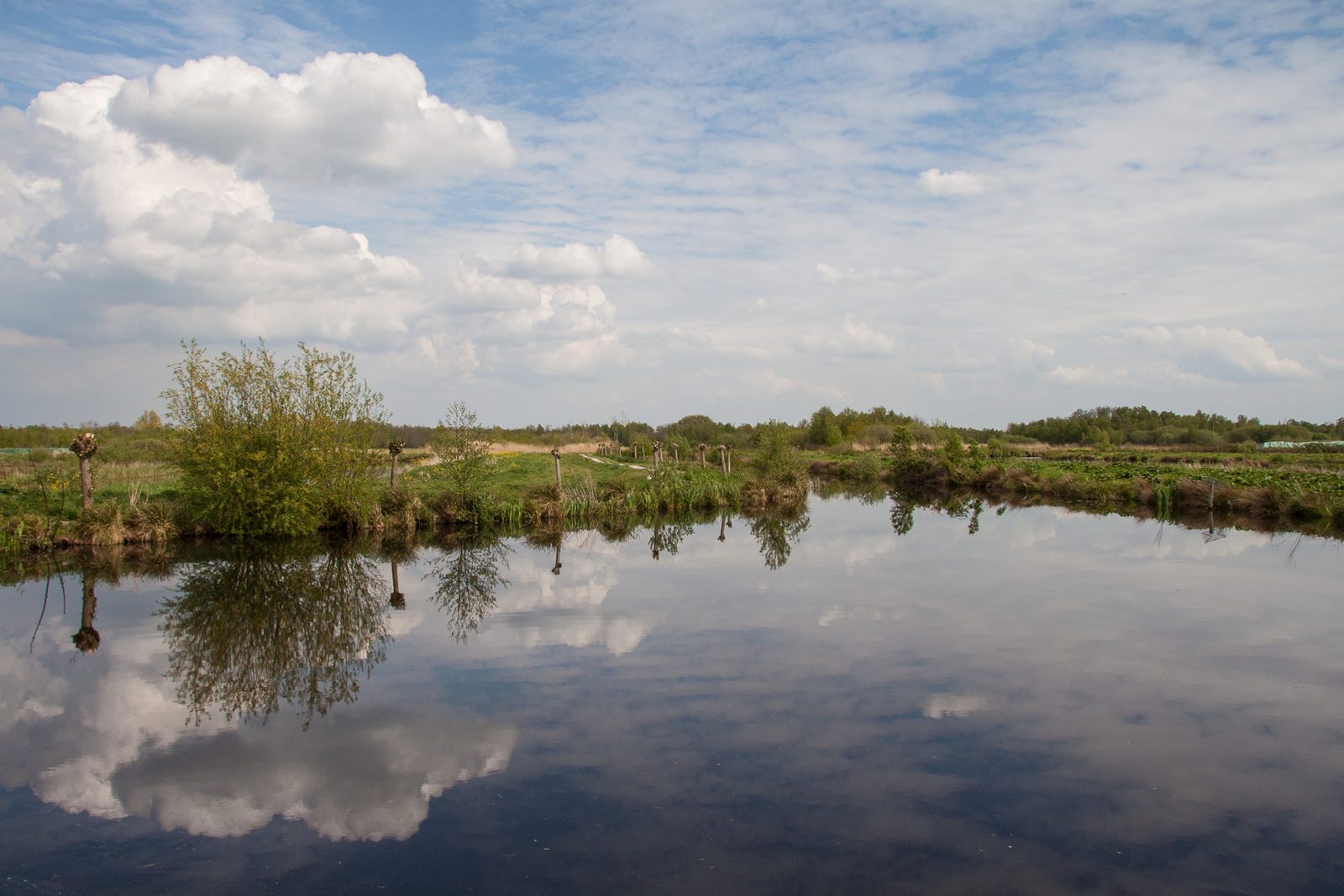 Nature parks