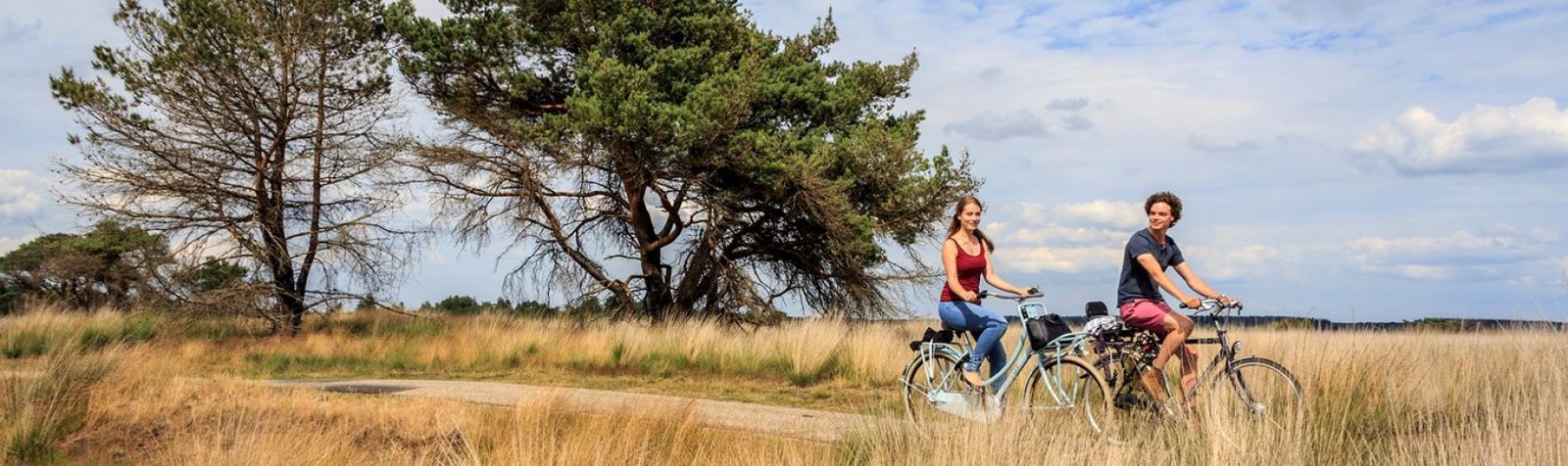 De Veluwse zomer