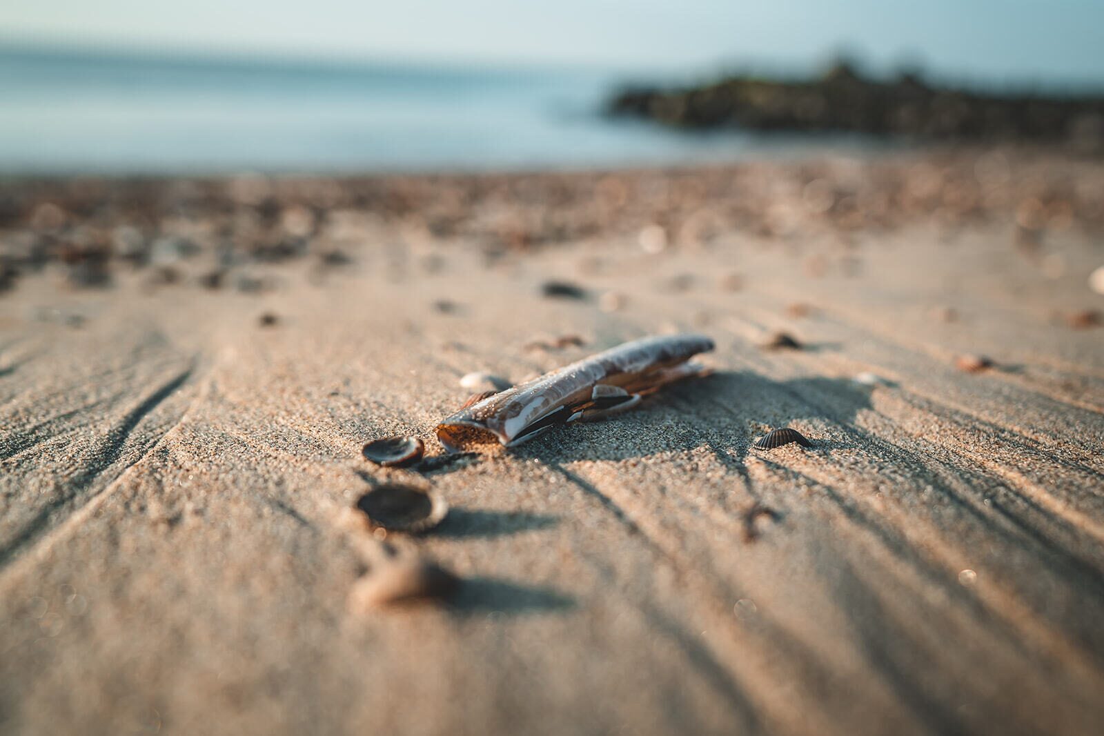 Beach vacation the Netherlands