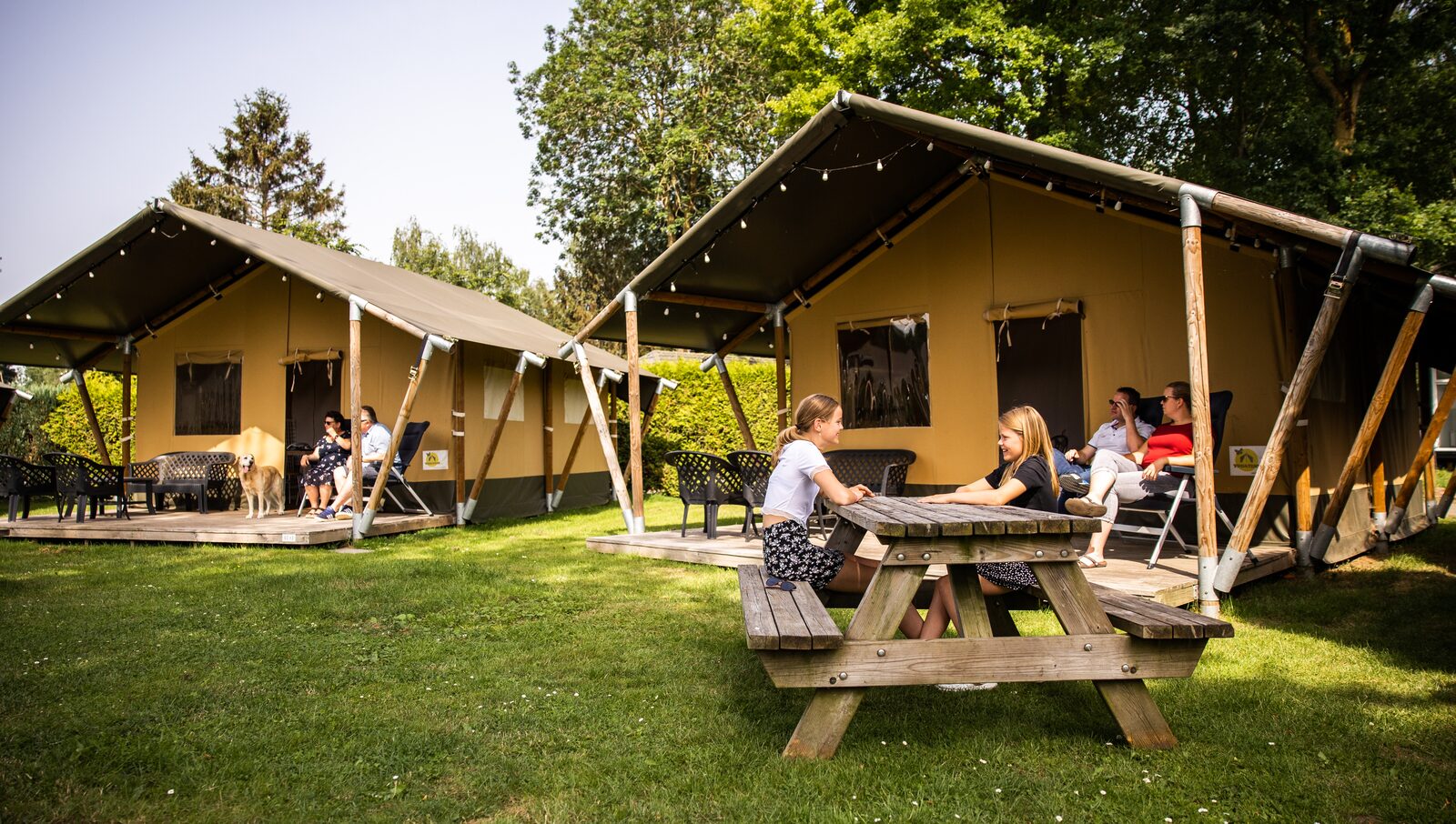 Enjoy a glamping experience