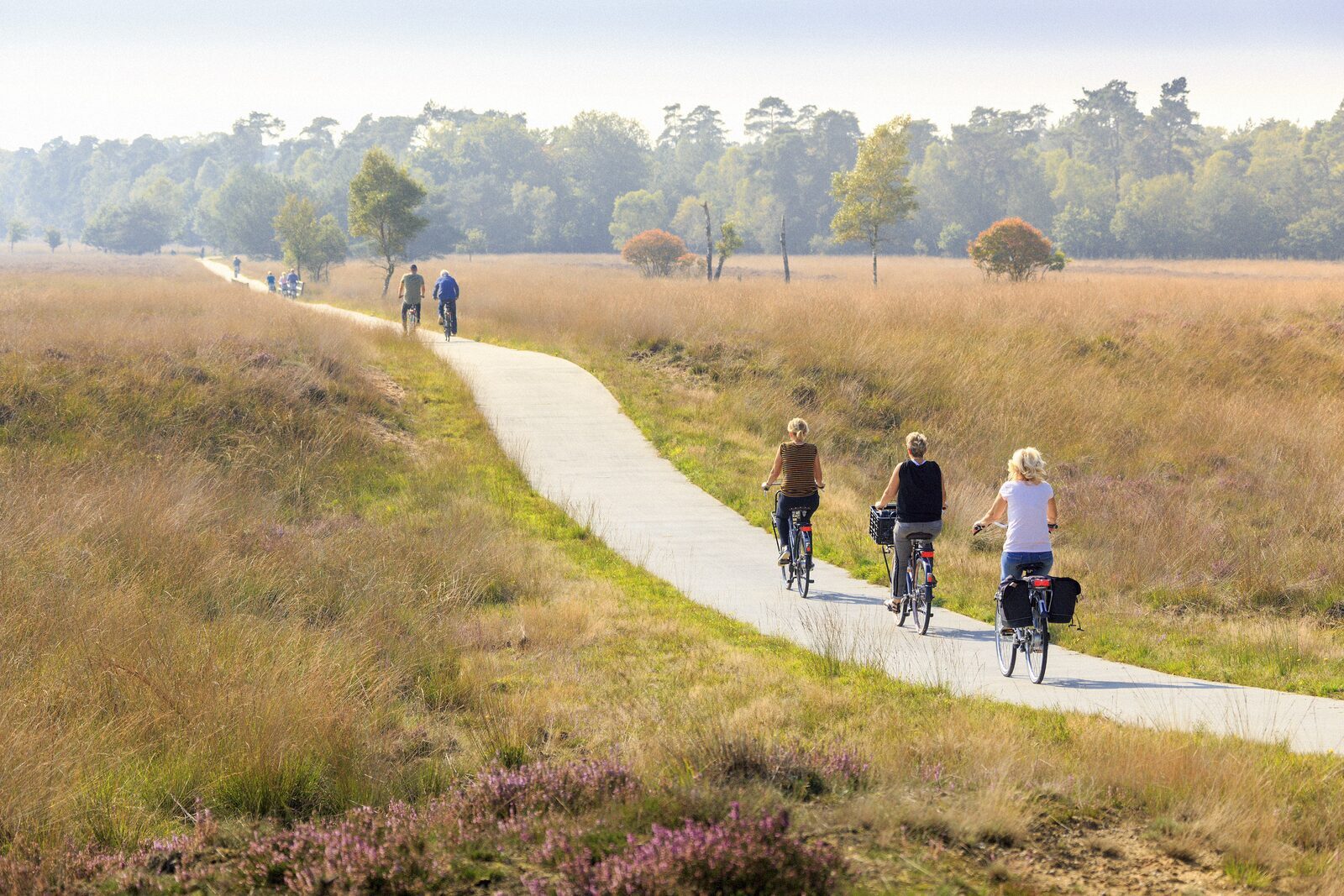 Fietsvakantie Nederland