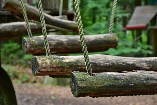 Climbing forest Brabantse Wal