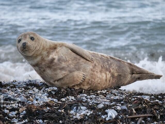 Oosterschelde National Park