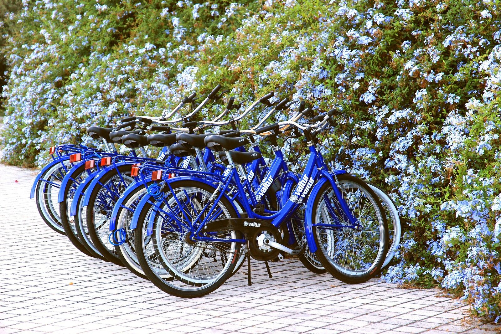 Bicycle rental service