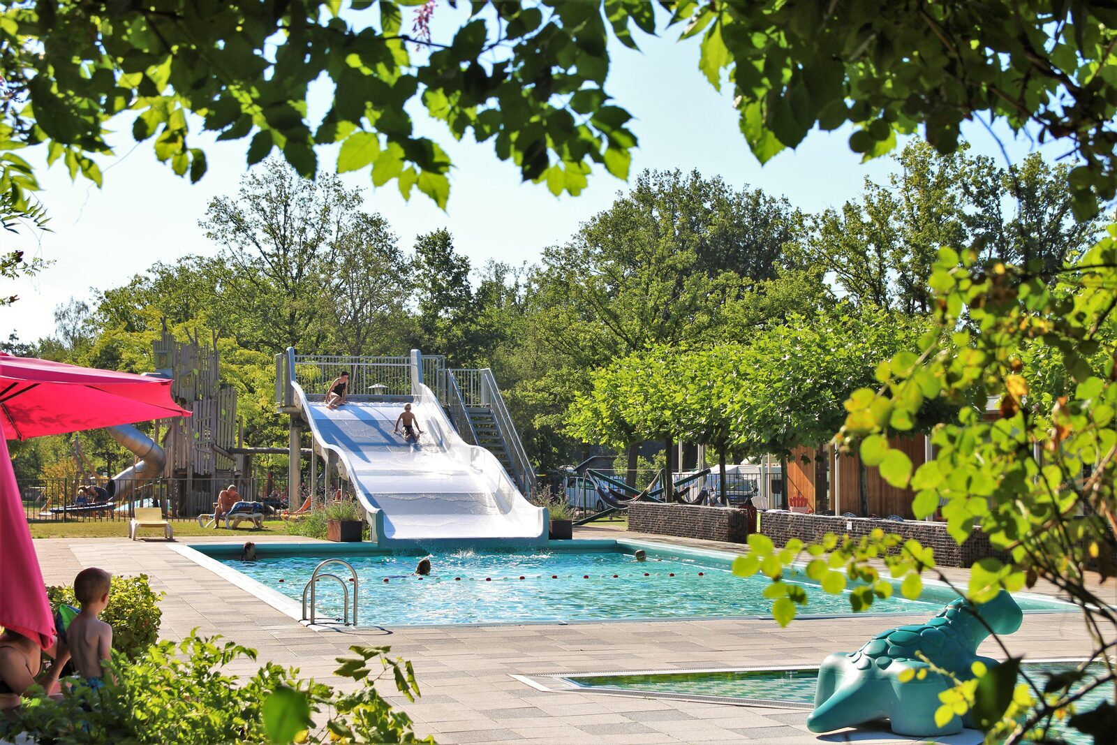 Campsite with swimming pool Gelderland