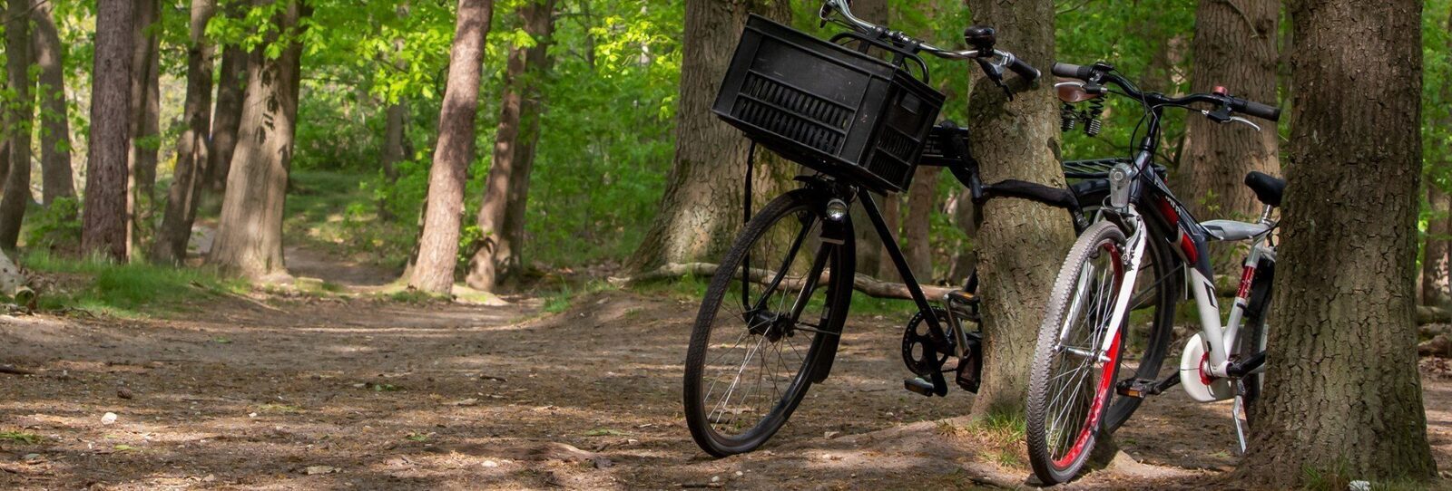 cycling vacation the netherlands