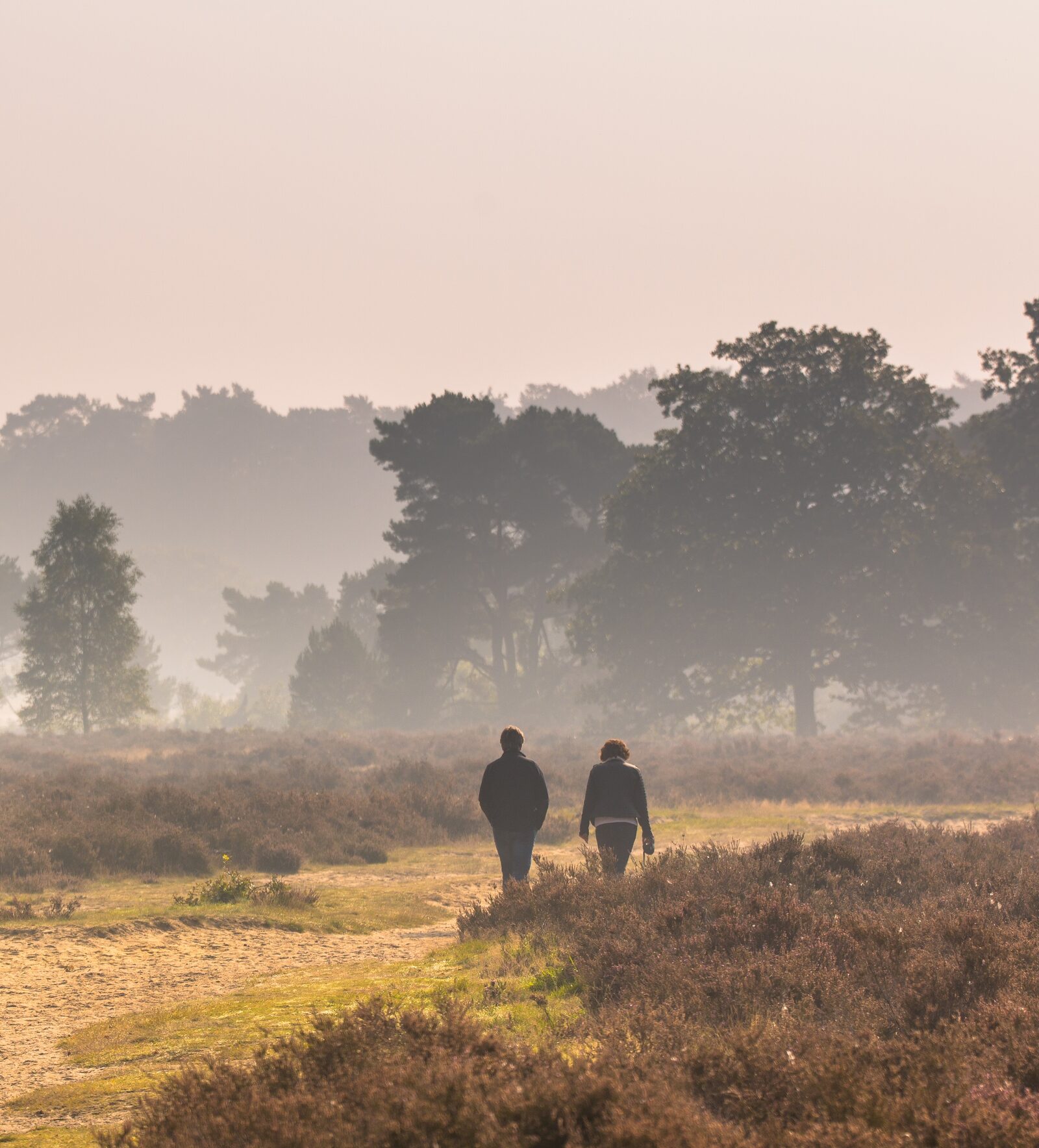 De Hoge Veluwe National Park