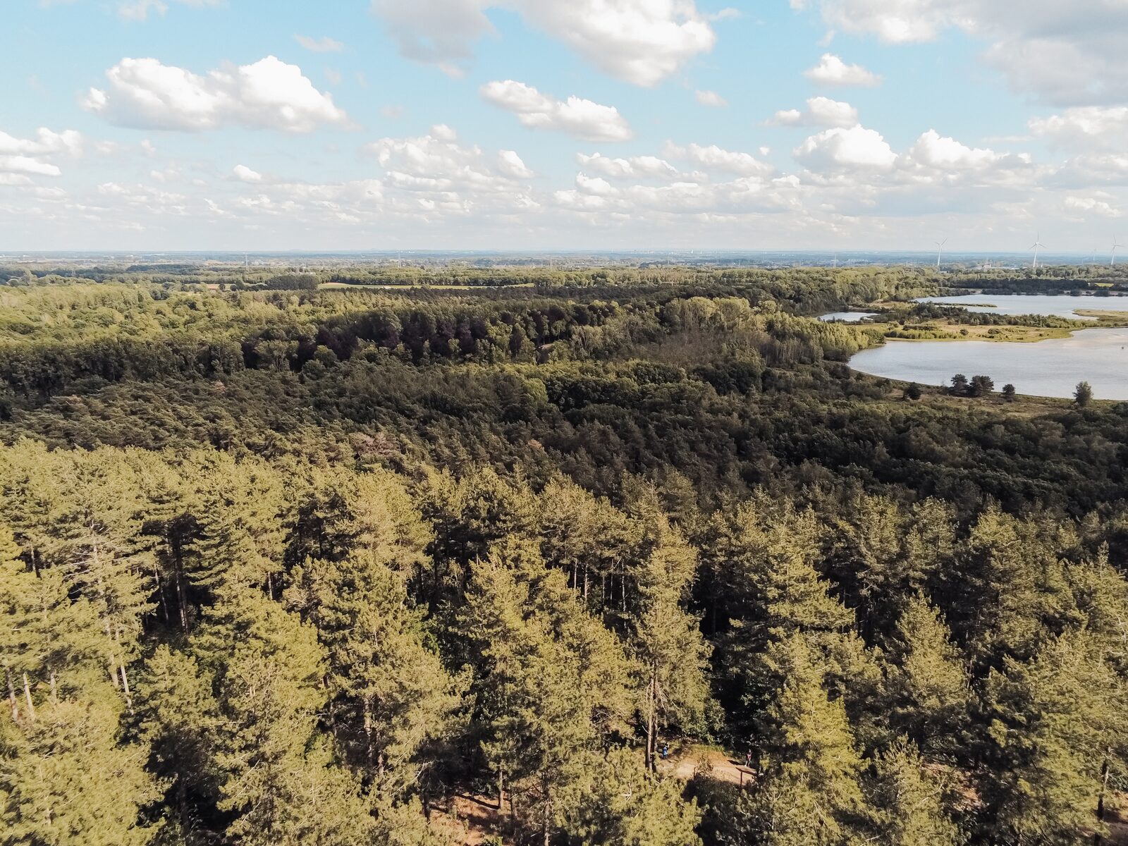 Bezoek België in September