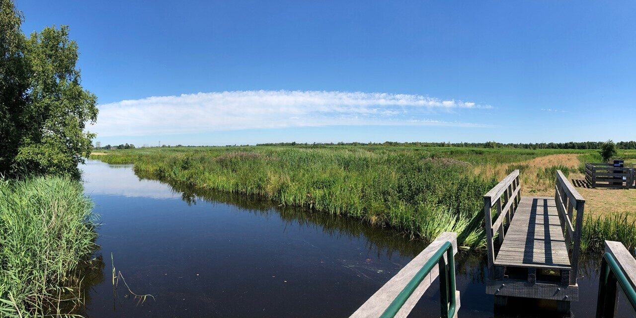 Walking route 'de alde feanen'