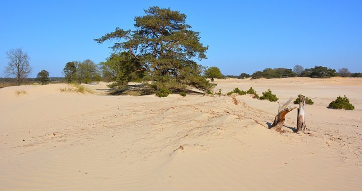 Kale Duinen 