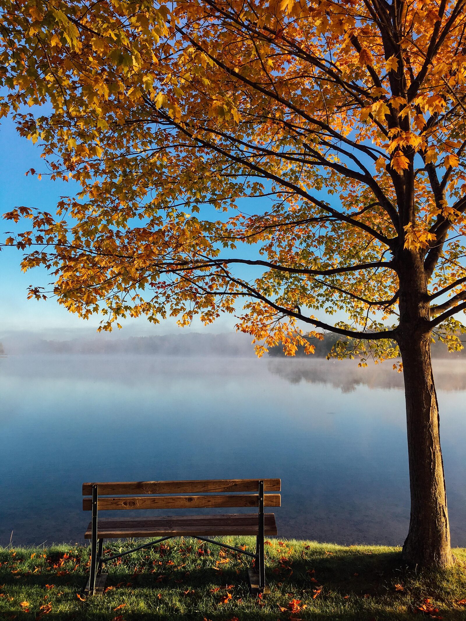 7 activités incontournables pendant les vacances d'automne