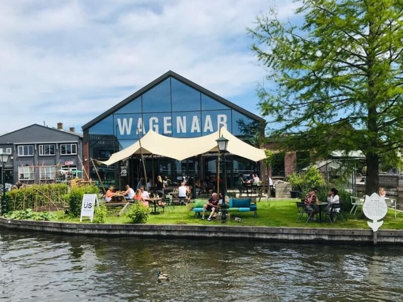 Wagenaar