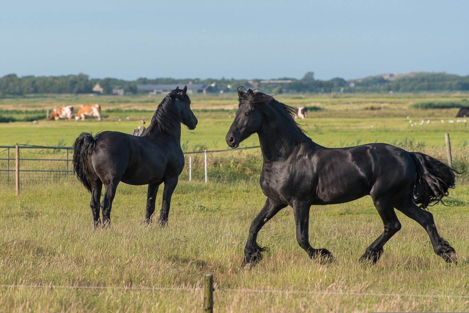 Natuur