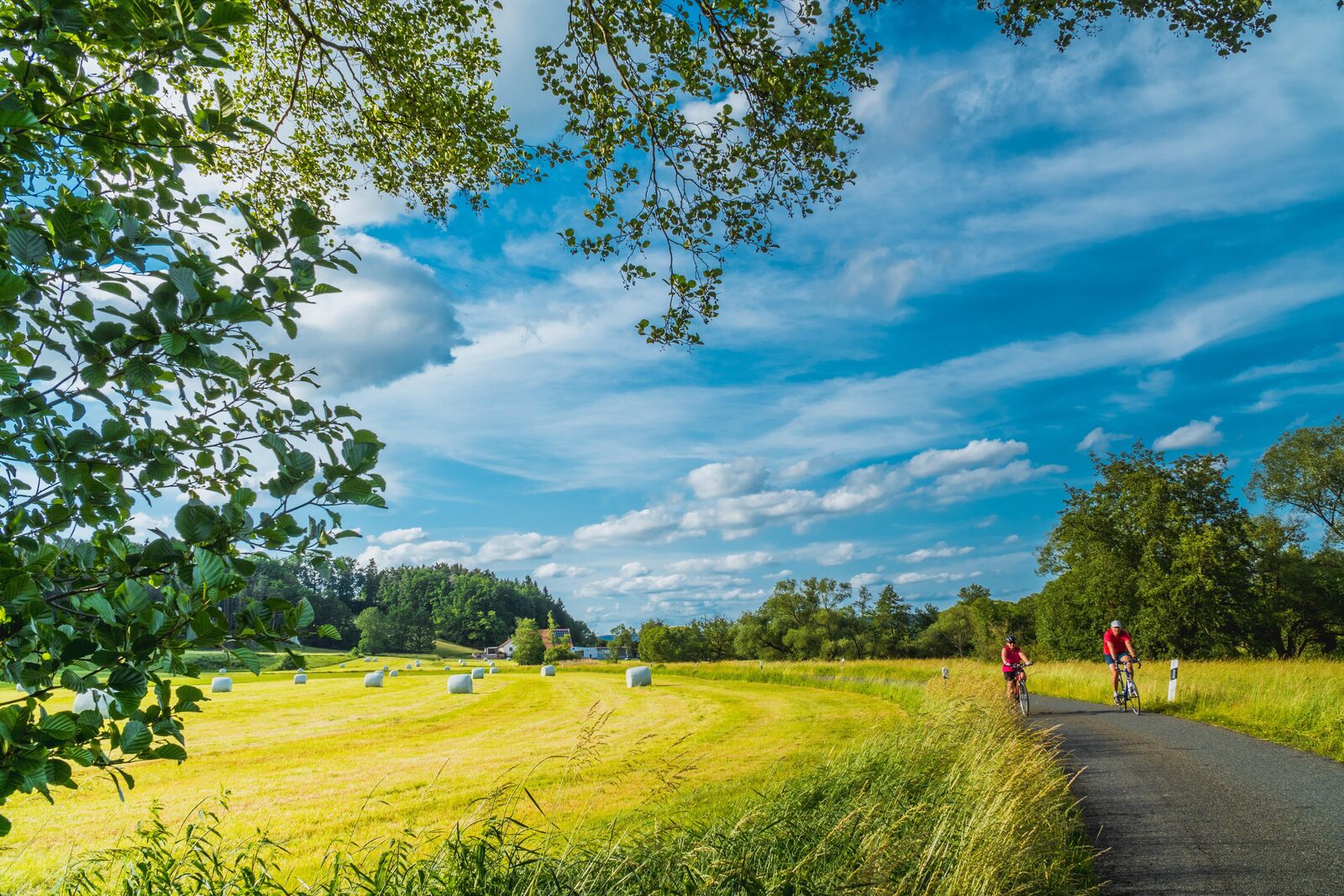 Een koppel dat fietst tussen de weiden