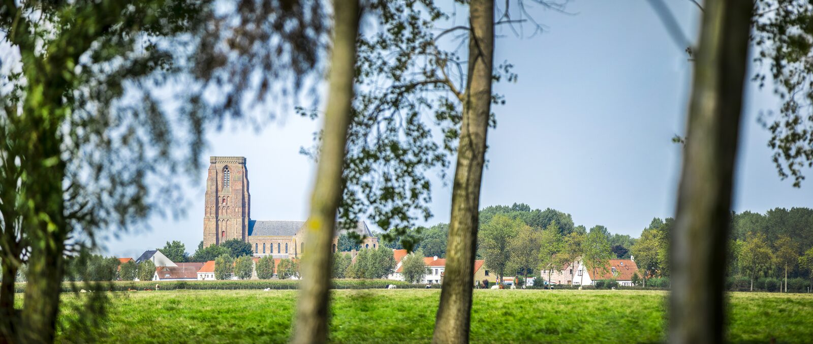 Radfahren oder Wandern an der belgischen Küste 