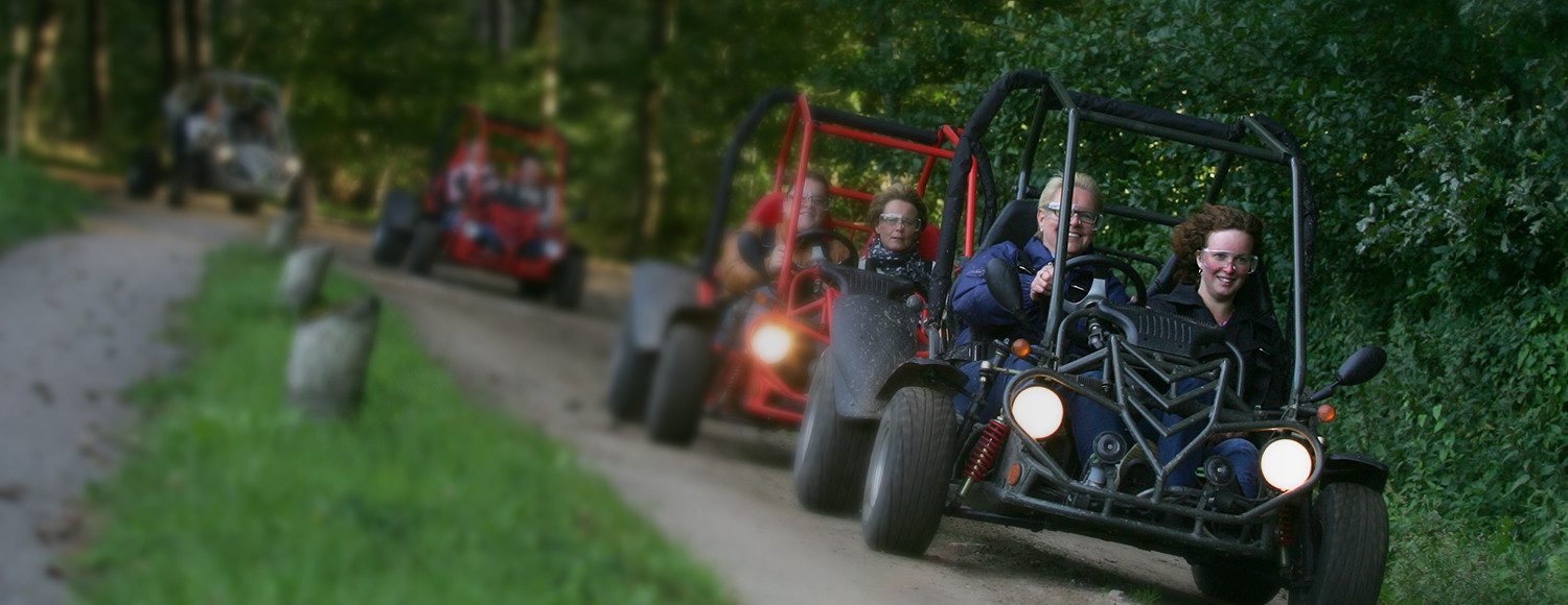 Driving a buggy