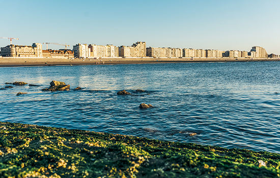 Nieuwpoort strand