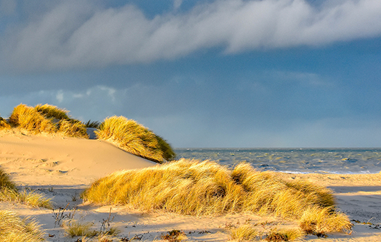 La plage de Westende