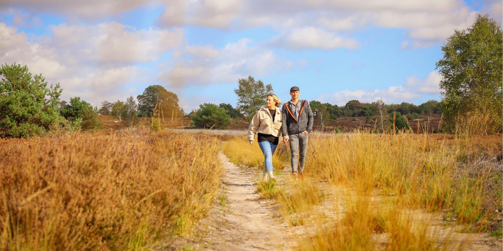 Walking on the Sallandse Heuvelrug