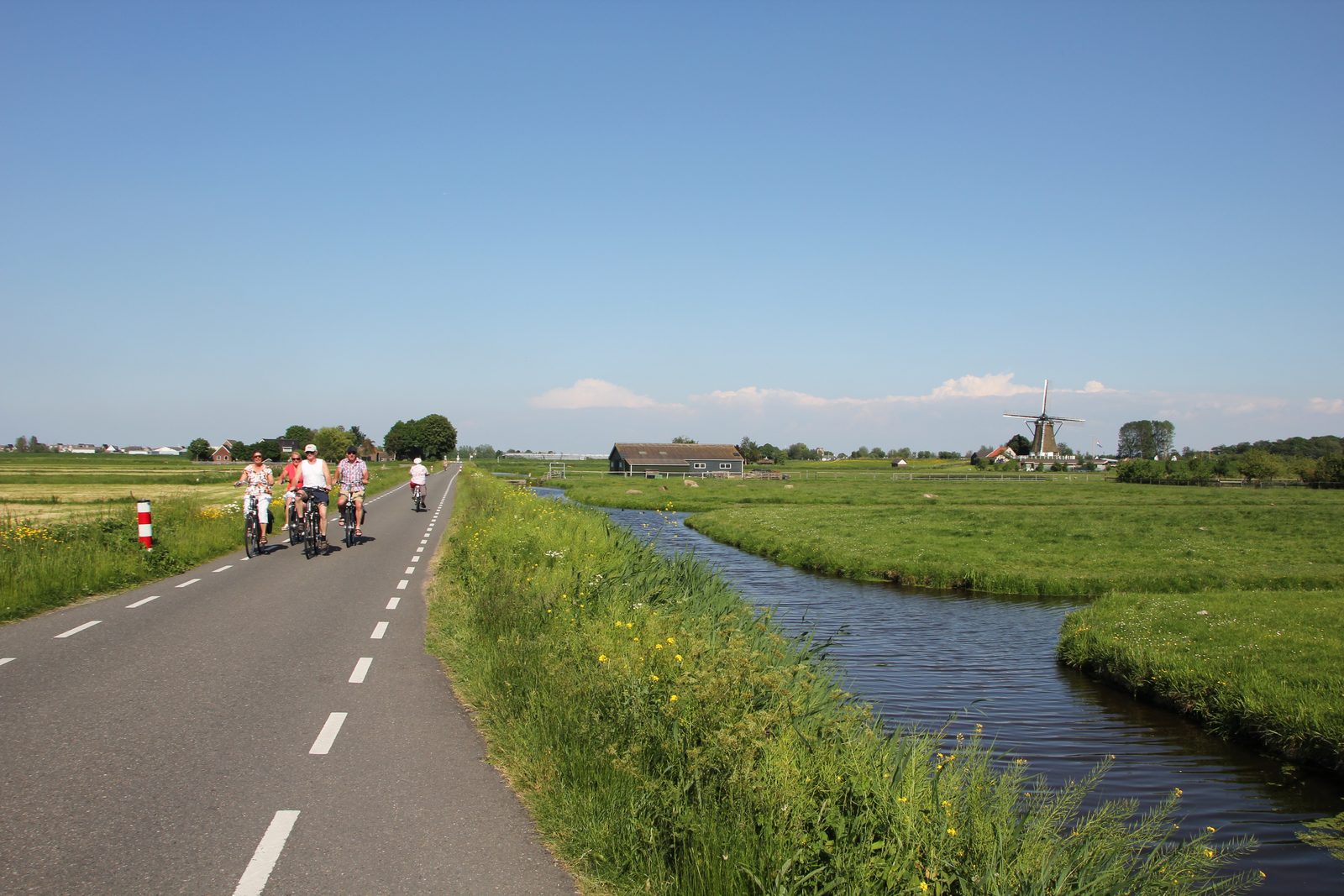 Bike rental to park guests